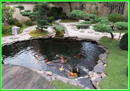 Nikmati keindahan kolam ikan dengan memasang kaca kolam. 23 Ide Desain Kolam Ikan Minimalis Lahan Sempit Daftarhewan Com