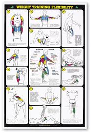 Weight Lifting Olympic Weight Lifting Exercises