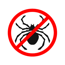 Spiders smell through their legs, and so they're very sensitive to oils on the generally, you want to combine peppermint oil pest control with other measures. Spider Pest Control Spider Control Spider Killer Ecomist
