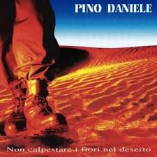 Iguana cafe' (latin blues e melodie). Pino Daniele Iguana Cafe Latin Blues E Melodie Lyrics And Tracklist Genius