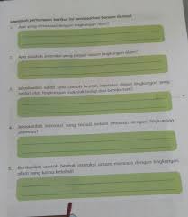Jelaskanlah interaksi yang terjadi antara manusia dengan lingkungan alam yang kamu ketahui. Apa Saja Interaksi Yang Terjadi Dalam Lingkungan Alam Nasi