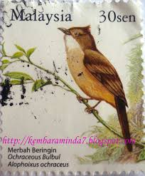 Burung yang dengan mudah dapat anda temui di indonesia ini memiliki ciri tubuh yang kekar, berbadan besar dan tentunya memiliki kekuatan yang ekstra. Senarai Burung Yang Memerlukan Lesen Senarai 66 Agensi Pengumpulan Deposit Awam Yang Berlesen Oleh Bank Negara Malaysia