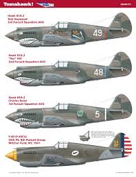 A substack newsletter by curtis yarvin. Model Kit 1 48 Curtiss Hawk P 40 Fighter Set Nip Avg Trumpeter H 81a 2 Models