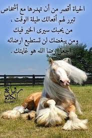 البحث الأكثر شمولاً عن الصور في الويب. Ø±ÙˆØ§Ø¦Ø¹ Ø§Ù„ÙƒÙ„Ø§Ù… Ø§Ù„Ø·ÙŠØ¨ Ø§Ù„ØµÙØ­Ø© Ø§Ù„Ø±Ø¦ÙŠØ³ÙŠØ© ÙÙŠØ³Ø¨ÙˆÙƒ