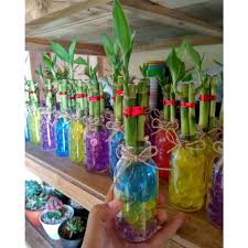 Makanan dan minuman di atas meja makan tidak selamat dimakan kerana telah terdedah kepada lalat. Jual Produk Hiasan Meja Bunga Termurah Dan Terlengkap Agustus 2021 Halaman 2 Bukalapak