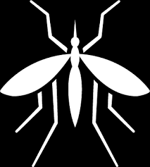 We are at the forefront in northwestern ohio and lake erie islands of the battle against all kinds of pests that can damage your home, business, property and possibly even cause diseases. Pest Control Fruitland Md Mosquito Bed Bug Termite Control