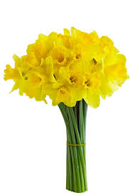We did not find results for: The Short Life Cut Flowers Floral Gossip