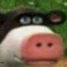 Cyber woman with corn, part ii: 19 Cyber Woman With Corn Ideas Cyber Stock Photos Funny 1000 Followers