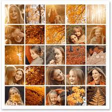 Kapwing's collage maker is the fastest way to combine video clips online to create. Online Collage Maker Photo Collage Net