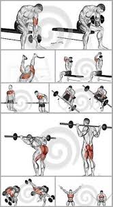 Upper Back Weight Exercises Ejercicios De Entrenamiento Ejercicios De Deporte Ejercicios De Fitness