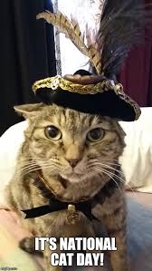 Maybe you would like to learn more about one of these? Image Tagged In National Cat Day Imgflip