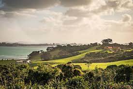 review cable bay winery waiheke island winery island