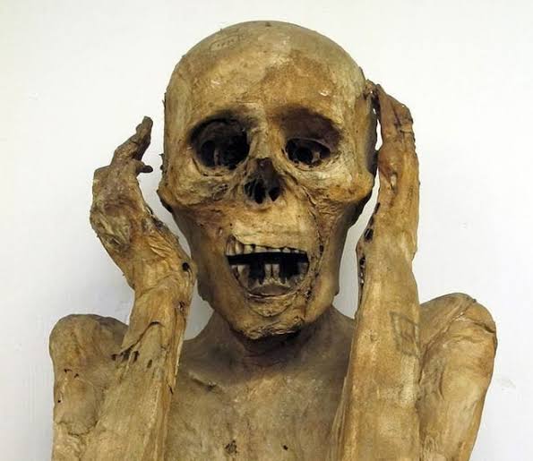 The Mummy's Curse: an archaeologist discovers an ancient, mysterious burial  complex. Who knows what horrors lie beneath? : r/rational