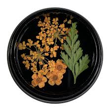 We did not find results for: Magpie Dried Flowers Orange Nail Art Decoration
