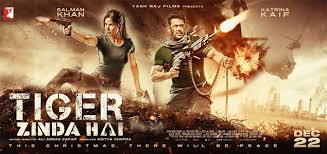 Download Tiger Zinda Hai 2017 Bollywood Movie Hindi Blu Ray Directed by ali abbas zafar. download tiger zinda hai 2017