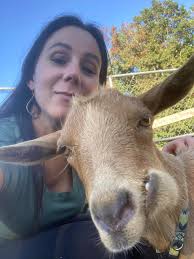 Does anyone know where I can buy chaffehaye or alfalfa hay? I have a doe  that cannot eat hay or dengie hay. This seems to be the only product she  can chew.