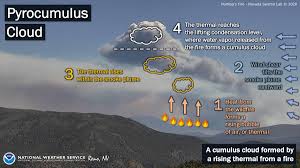 NWS Reno on Twitter: "The #NumbersFire southeast of Gardnerville, Nevada,  created several pyrocumulus clouds this afternoon during peak heating. Here  is an infographic describing how a pyrocumulus cloud is formed.…  https://t.co/xrsk5oul31"