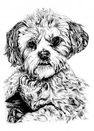A cute puppy and a camera. Dogs Free Printable Coloring Pages For Kids