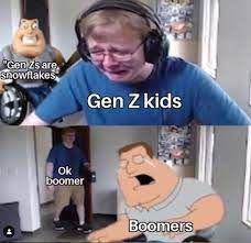 Snowflake Boomers Ok Boomer Know Your Meme