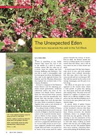 Image result for Hermbstaedtia odorata