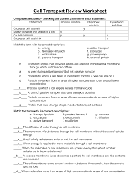A dynamic equilibrium of water. Transport Review Worksheet Cell Transport Cells Worksheet Cell Membrane Transport