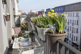 Wer ohne zu schwitzen seinen balkon oder seine terrasse genießen möchte, schätzt daher die großflächigen beschattungsmöglichkeiten, die markisen bieten. Balkonoase Auf Engem Raum 5 Gestaltungstipps Fur Kleine Balkone