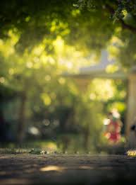 Nature Full Hd Editing Background Wallpaper .background on photos, with the lens blur option you can selectively blur your background and resizing: