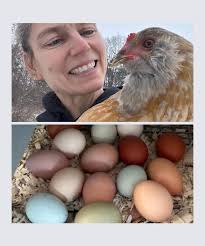 McConnell Manor Farm