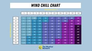 What is wind chill and why does it 'feel' so miserable? - The Weather  Network