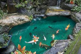 A koi pond can have a bit of debris build up if the pond isn't properly constructed. 60 Backyard Pond Ideas Photos Home Stratosphere