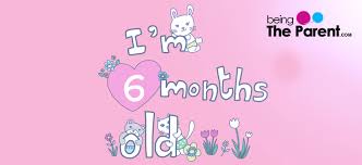 Average Weight And Length Height Of 6 Month Old Babies