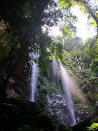 Kawasan simpanan atau kawasan perlindungan lain berada di bawah tadbir urus jabatan perhutanan sabah dan yayasan sabah. Air Terjun Sg Kooi Salah Satu Taman Negeri Royal Belum Facebook