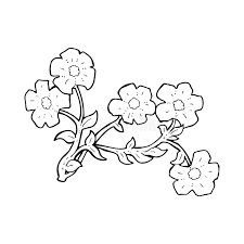 Flowers cartoon images black and white. Cartoon Flowers Stock Illustration Illustration Of Clip 37031567