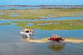 Cabanes Tchanquees Bassin D Arcachon Arcachon Vacances Arcachon