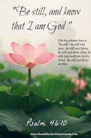Pin By Vida De Luna On Love For Family Love For Life Flowers Beautiful Flowers Psalm 46