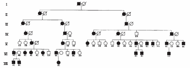 pedigree of the venezuelan huntingtons disease family