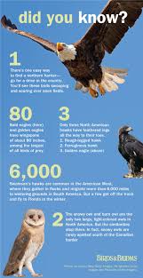 Why Do Birds Fly South For The Winter Biology Want More Facts And Helpful Information About Your Favorite Birds Our New Book The Best Of Birds B Fun Facts About Birds Information About Birds Bird Facts
