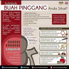 Ini terbukti dengan gejala seperti sensasi terbakar apabila pundi kencing kosong, berlumpur atau air kencing dengan darah, pasir dalam air kencing, penurunan dalam jumlah air kencing, sakit belakang. Penawar Sakit Buah Pinggang Kencing Manis Darah Tinggi Facebook