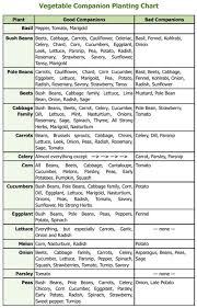 The selection bar will then show only those plants that your chosen crop will love. Companion Planting Chart Pdf