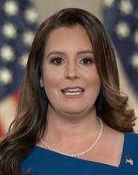 Multiple candidates come forward to challenge Stefanik in NY-21