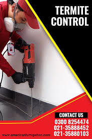 Termite Control In 2020 Fumigation Services Best Pest Control Pest Control