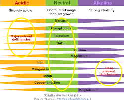 When the soil is acidified, it goes through the process of becoming more acidic. Soil Ph And Nutrient Availability Horiba