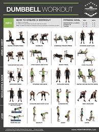 Dumbbell Exercises Laminated Poster Chart Strength Training Core Chest Legs Shoulders Back Dumbbell Workout Plyometric Workout Kettlebell Workout