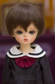 期間限定】Hoya｜DOLK（ドルク）