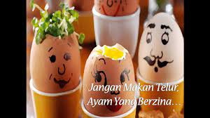 Ini kemungkinan yang menyebabkan permasalahan telur ngedrop dan ayam banyak yang pilek. Lucu Ada Ustaz Kata Telur Ayam Yg Ada Dipasaran Ialah Telur Ayam Zina Youtube