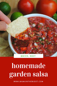 My Mouth Is Watering Homemade Salsa Recipe Easy Homemade Salsa Recipe Homemade Salsa