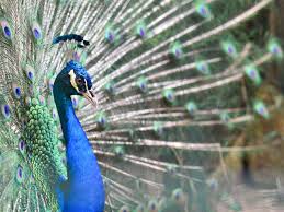 Senarai tempat menarik di perak. 15 Tempat Menarik Di Butterworth Ramai Tak Tahu Wajib Datang Ammboi