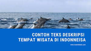 Paragraf deskripsi dibuat atau di rangkai dengan kalimat deskripsi sampai menjadi sebuah paragraf. 8 Contoh Teks Deskripsi Tentang Tempat Wisata Di Indonesia Singkat