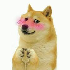 Post your templates or request one instead!. All Doge And Cheems Meme Templates Collection 20 Total