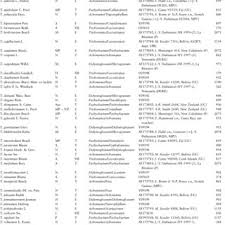 Image result for Trichomanes crispiforme